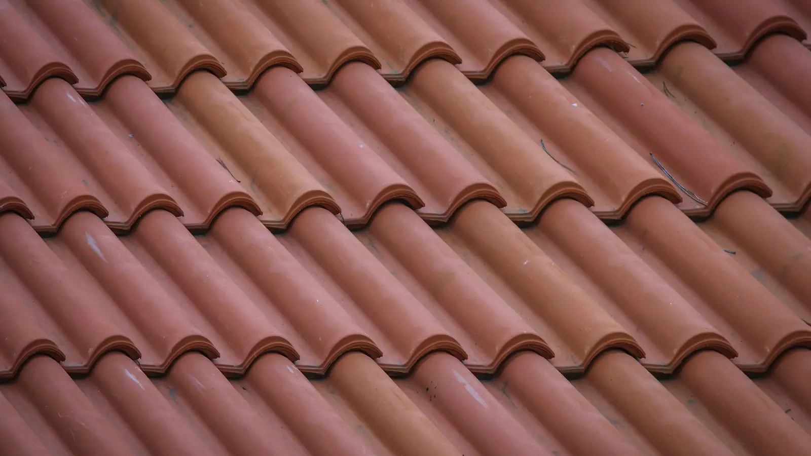 Pitched roof edge, gutter and eaves viewed from ground level